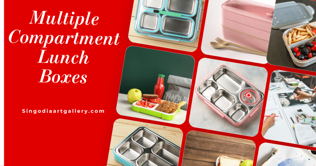 Multiple Compartment Lunch Boxes